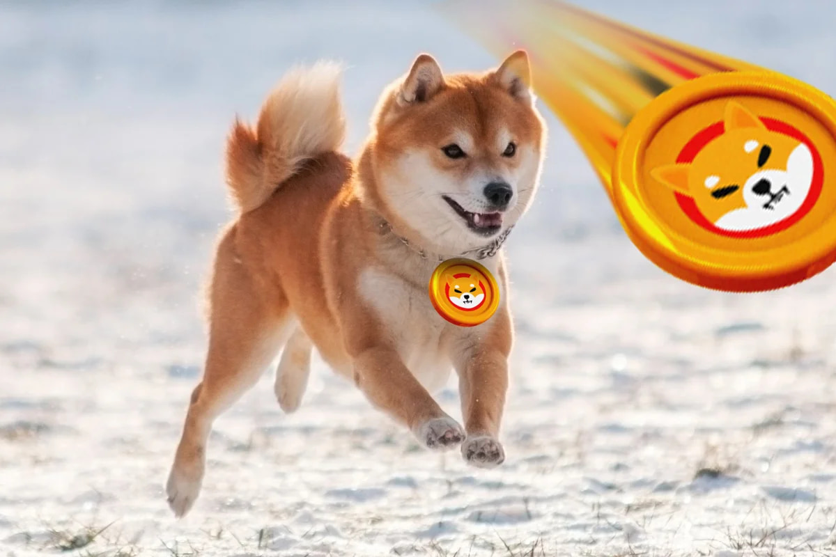 Shiba Inu Burn Portal Shib