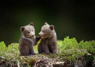 ราคา Bitcoin ร่วงทะลุต่ำกว่า 7,000 ดอลลาร์ โดยลดลงถึง 6% ภายในสองชั่วโมง