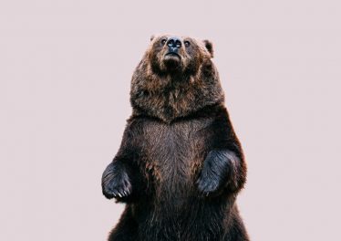 นักวิเคราะห์คริปโตทำนาย "จะได้เห็นตลาดหมีไปอีกกว่า 7 เดือนก่อนที่ตลาดจะดีขึ้นอีกครั้ง"