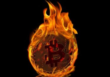 นักลงทุนเตือนกลุ่มแฟนพันธุ์แท้ Bitcoin Maximalist กำลังทำให้วัฒนธรรมคริปโตเสื่อม