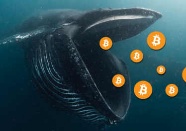 สาเหตุที่เจ้ามือเริ่มเก็บสะสมเหรียญ Bitcoin อย่างหนักตั้งแต่มกราคมที่ผ่านมา