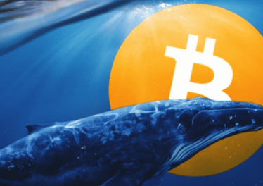 นวัตกรรม Altcoin ทั้งหมดจะส่งผลดีต่อ Bitcoin ในท้ายสุดกล่าวโดยเจ้ามือตลาดคริปโต