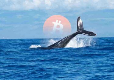 หนึ่งในเจ้ามือ Bitcoin ที่รวยที่สุดเพิ่งเคลื่อนย้าย BTC มูลค่า 2.85 พันล้านบาท นักเทรดหวั่นเทขาย