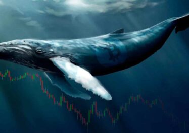 ผู้เชี่ยวชาญเผยกลยุทธ์ที่เปลี่ยนจากนักเทรดธรรมดาให้กลายเป็นเจ้ามือ