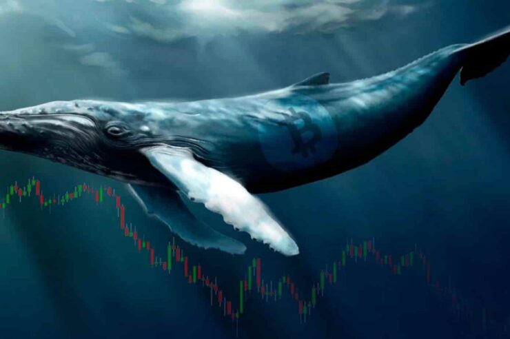 ผู้เชี่ยวชาญเผยกลยุทธ์ที่เปลี่ยนจากนักเทรดธรรมดาให้กลายเป็นเจ้ามือ