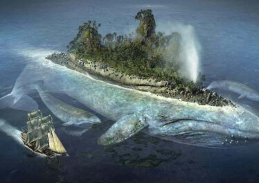 เจ้ามือโอน Bitcoin มูลค่าเกือบ 3 พันล้านบาท, ขนาดธุรกรรม BTC พุ่งขึ้น 38.3%