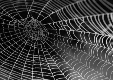 สัดส่วนผู้ใช้ Bitcoin ทั้งหมดทั่วโลกตอนนี้เท่ากับจำนวนผู้ใช้อินเทอร์เน็ตในปี 1995