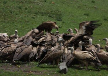 ตลาด Bitcoin เริ่มขาดแคลนคนขาย จำนวนเหรียญบนเว็บเทรดลดลงเรื่อย ๆ