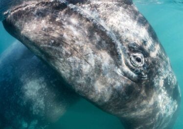 หนึ่งในเจ้ามือ Bitcoin ที่ใหญ่ที่สุดในโลกโอน BTC มูลค่า 6.8 พันล้านบาทนักลงทุนหวั่นทุบราคา