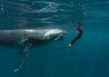 เจ้ามือ Bitcoin โอนเหรียญมูลค่า 2 แสนล้านบาทเข้าไปในกระเป๋าย่อยเล็ก ๆ หลาย Wallet คาดตบตารายย่อย