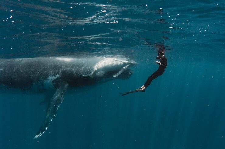 เจ้ามือ Bitcoin โอนเหรียญมูลค่า 2 แสนล้านบาทเข้าไปในกระเป๋าย่อยเล็ก ๆ หลาย Wallet คาดตบตารายย่อย