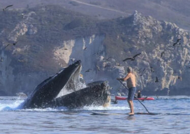 CEO บริษัทด้านการวิเคราะห์เตือนเจ้ามือกำลังแห่โอน Bitcoin เข้าไปใน Coinbase อาจทุบราคา