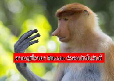 3 สาเหตุและปัจจัยหลักที่ราคา Bitcoin ร่วงลงเกือบ 20% ในวันนี้