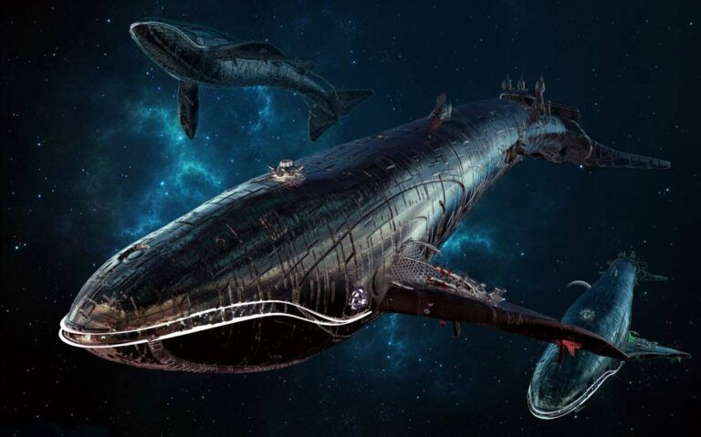 เจ้ามือโอนเหรียญ Cryptocurrency มูลค่า 3 หมื่นล้านบาท จ่ายค่าธรรมเนียมแค่ 210 บาท