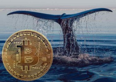 เจ้ามือ Bitcoin รายใหญ่ที่สุดในโลกโอน BTC มูลค่า 1.3 แสนล้านบาท จ่ายค่าธรรมเนียมเพียง 651 บาท