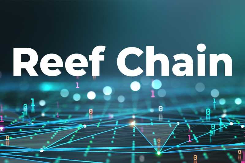 Reef Finance เตรียมเปิดตัว Reef Chain ในเดือนพฤษภาคม - Siam Blockchain
