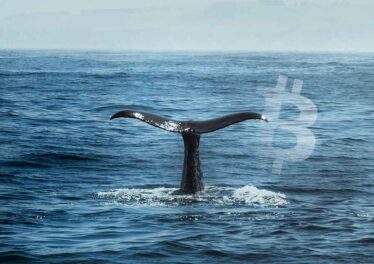 เจ้ามือ Bitcoin โอนเหรียญกว่า 12,000 btc ออกจากเว็บเทรด Coinbase สิ่งนี้หมายถึงอะไร