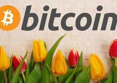 ธนาคารกลางยุโรปเผยรายงานความเสี่ยงเกี่ยวกับ Bitcoin เปรียบเทียบเหมือนกับฟองสบู่ดอกทิวลิป