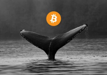 เจ้ามือ Bitcoin รายใหญ่ที่สุดในโลกช้อนซื้อ BTC เพิ่มอีก 4.4 พันล้านบาท ท่ามกลางช่วงตลาดขาลง