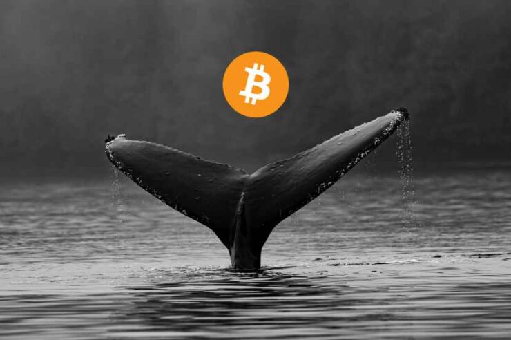 เจ้ามือ Bitcoin รายใหญ่ที่สุดในโลกช้อนซื้อ BTC เพิ่มอีก 4.4 พันล้านบาท ท่ามกลางช่วงตลาดขาลง