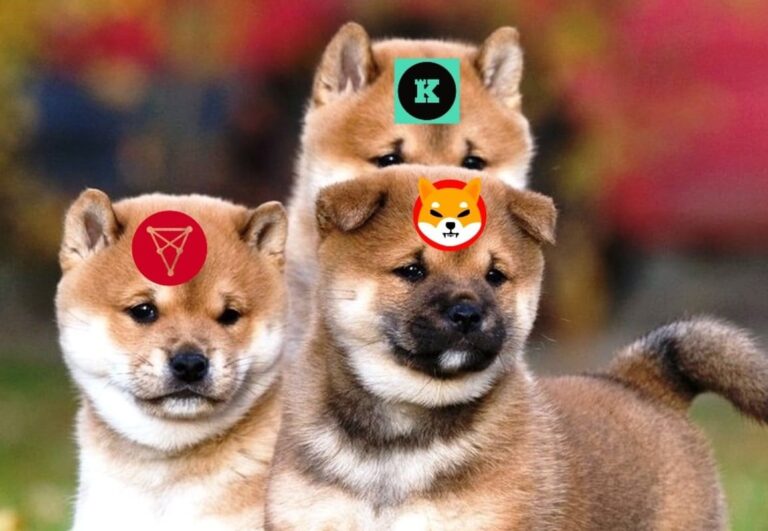 ราคาเหรียญ Shiba Inu และ Chiliz พุ่งขึ้นอย่างรุนแรง หลัง Coinbase Pro เปิดให้เทรด