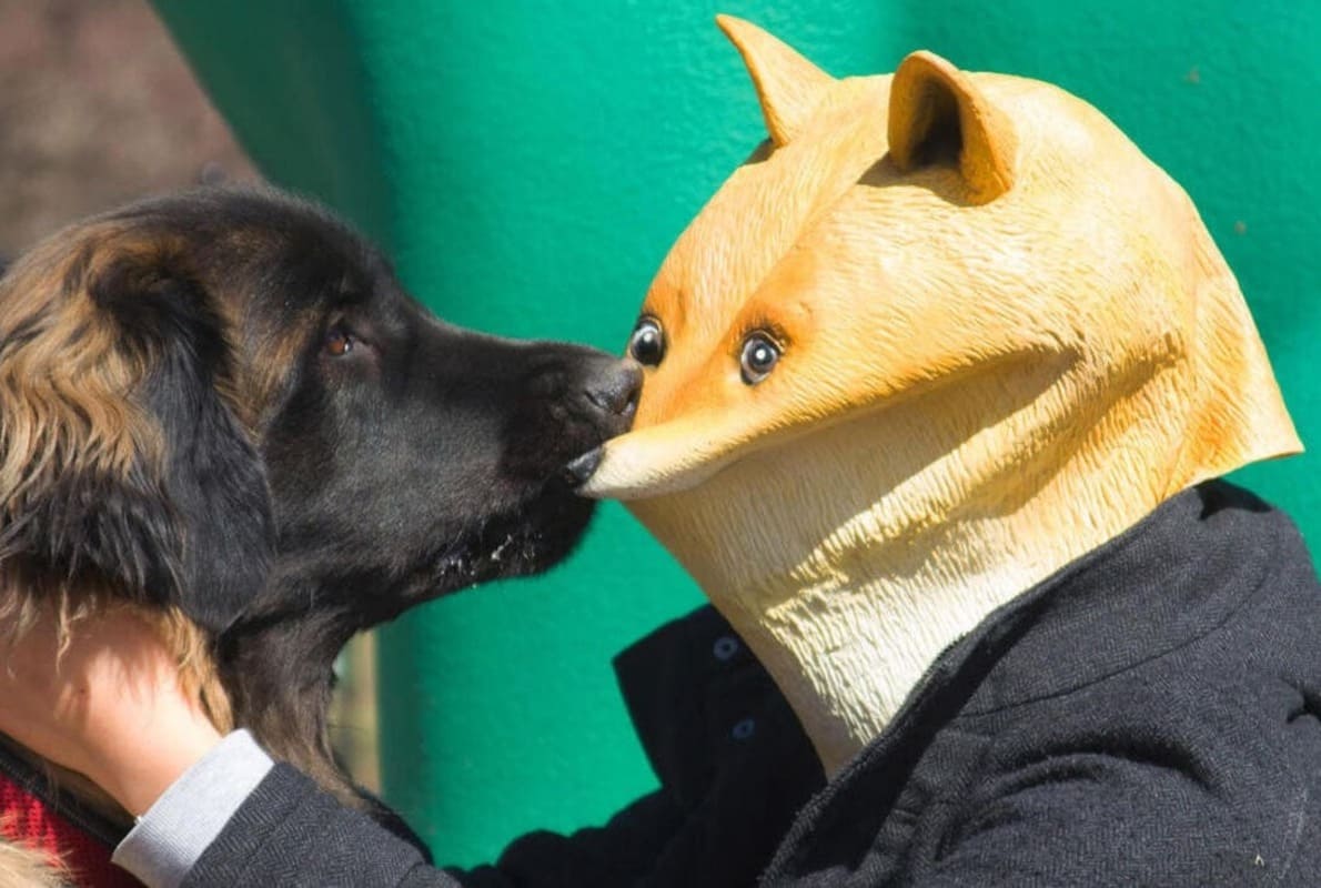 Coinbase ถูกฟ้องข้อหาหลอกลวงในแคมเปญ Dogecoin - Siam Blockchain