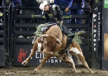 ตัวชี้วัดเผยนักเทรดยังเชื่อมั่นในแนวโน้มขาขึ้น แม้ราคา Bitcoin ร่วงต่ำกว่าระดับ 40,000 ดอลลาร์