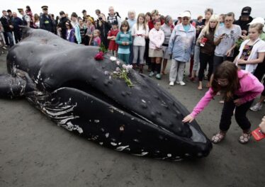 นักวิเคราะห์กล่าว เจ้ามือ Bitcoin กระเป๋าหนักเริ่มหายไป เมื่อนักลงทุนรายย่อยแห่สะสมเหรียญ