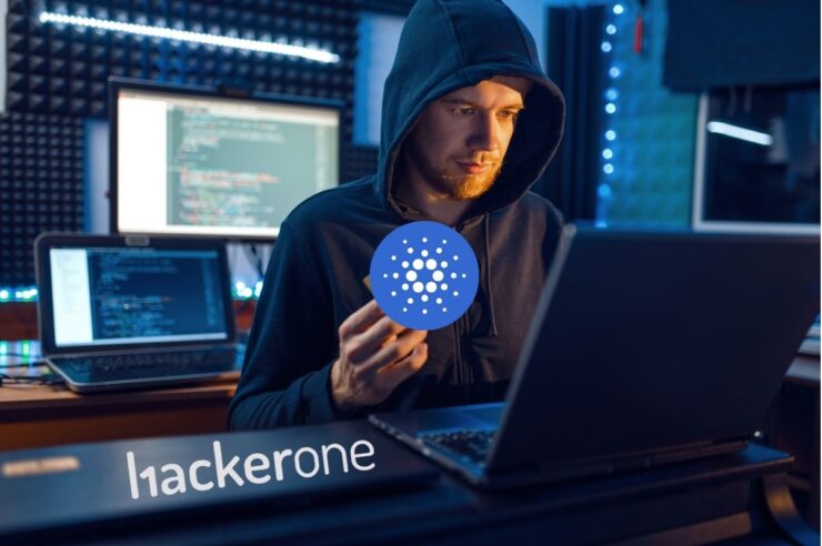 cardano hacker