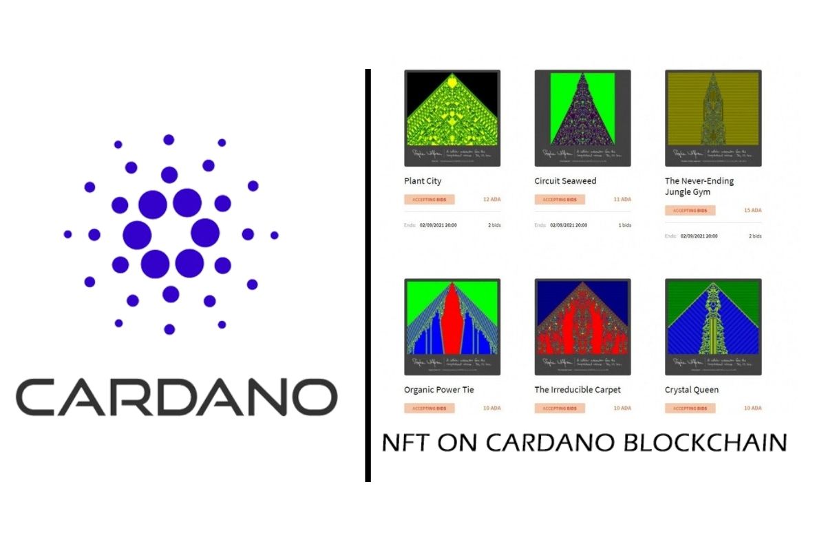 NFT ที่สร้างบน Cardano โดย Steven Wolfram เปิดขายแล้ววันนี้