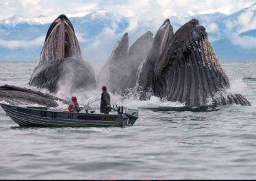 เจ้ามือ Bitcoin ที่ถือเหรียญมากที่สุดเป็นอันดับสามซื้อ Bitcoin เพิ่มกว่า 416 ล้านบาทที่ราคา $40,000