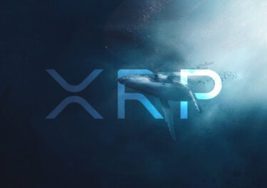 whale alert xrp