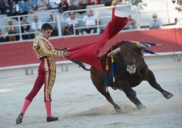 มูลค่าตลาดคริปโตพุ่งแตะระดับ 2.6 ล้านล้านดอลลาร์อีกครั้ง หลัง Bitcoin ฟื้นตัวยืนเหนือ $62,000