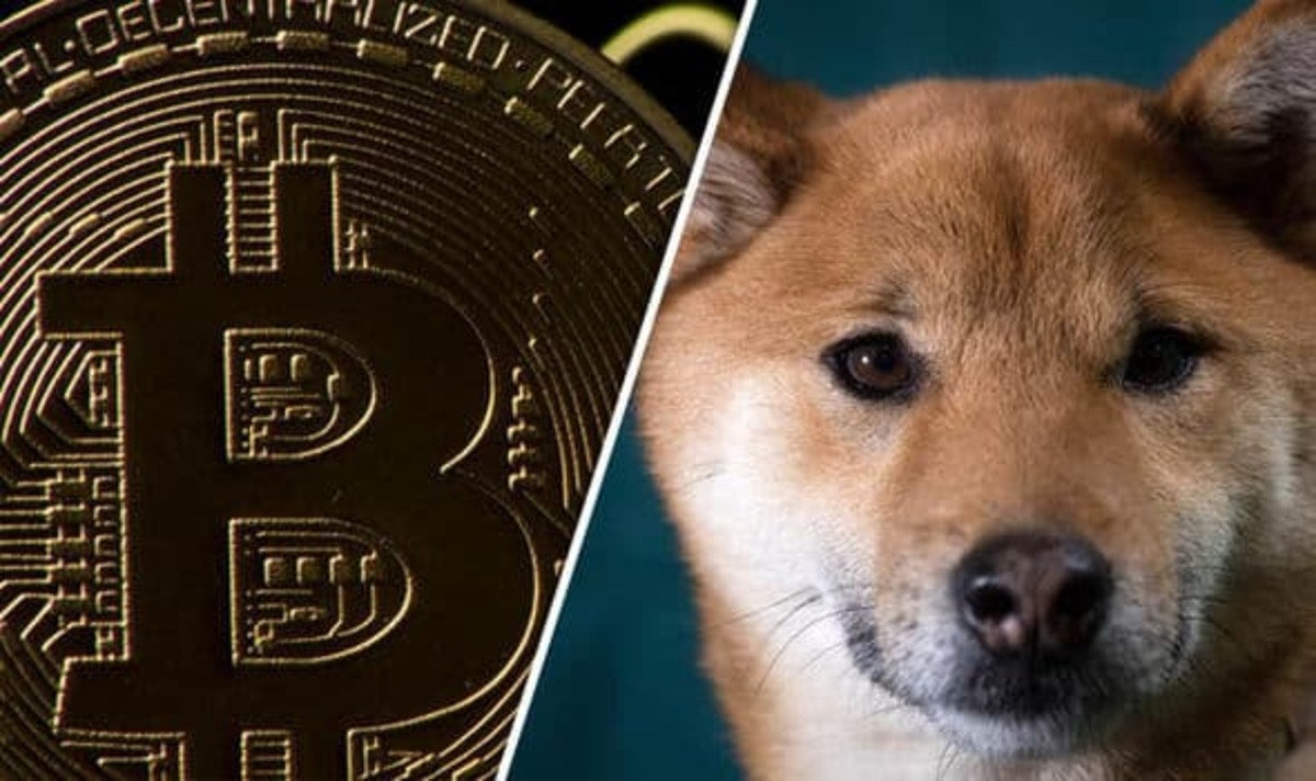 Prezzo shiba inu crypto