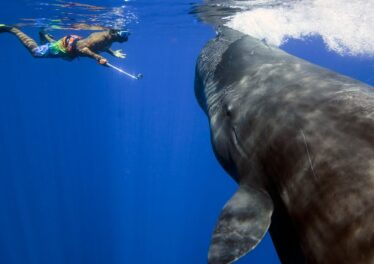 เจ้ามือ Bitcoin โอนเหรียญ 2,001 BTC ออกจากเว็บเทรด Coinbase นักเทรดรู้สึกโล่งใจ