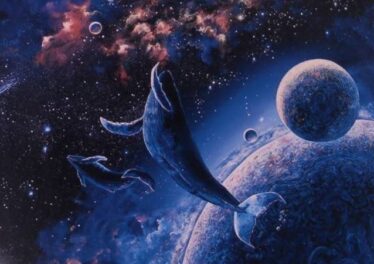 เจ้ามือโอน Bitcoin มูลค่ากว่า 1.5 หมื่นล้านบาท คุณควรกังวลหรือไม่