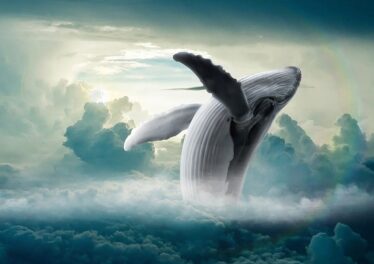 Humpback Whale Clouds Mammal Whale Fantasy