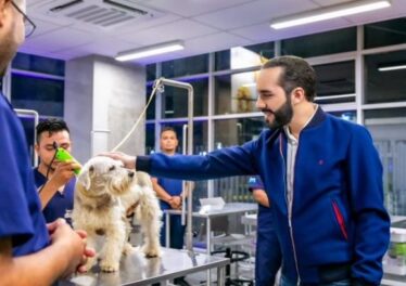 โรงพยาบาลสัตว์ที่ได้รับเงินทุน Bitcoin จากเอลซัลวาดอร์ประกาศเตรียมเปิดตัวในเย็นวันนี้