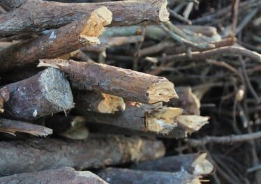 สุดเจ๋ง ! เหมืองขุด Bitcoin ในนอร์เวย์ ใช้ความร้อนที่ได้จากเครื่องขุดในการทำให้ไม้แห้ง