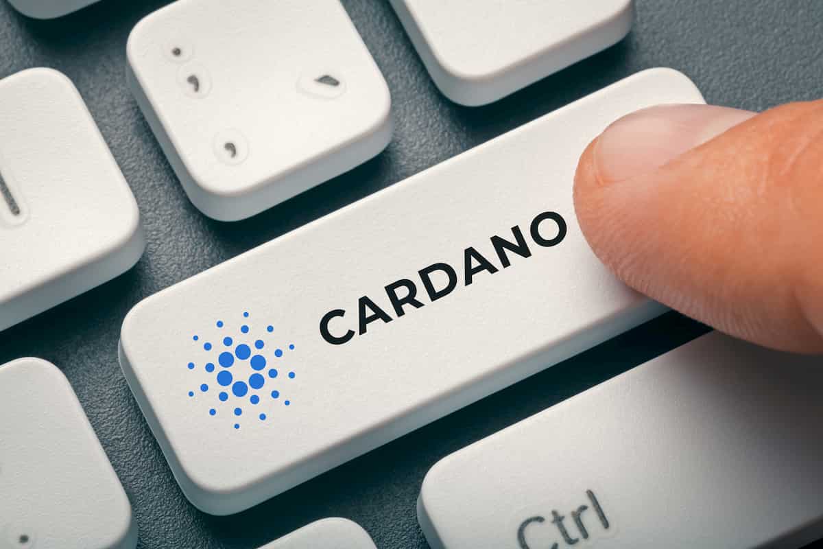 เม็ดเงินไหลเข้า Cardano Stake Pool กว่า 1.4 พันล้านดอลลาร์ นักลงทุนจับตามองไม่ห่าง