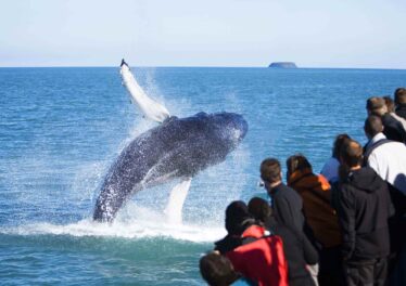 เจ้ามือรายหนึ่งปิด Short Bitcoin จำนวนมหาศาล ก่อนที่ราคาจะพุ่งทะยานสู่ระดับ 43,000 ดอลลาร์