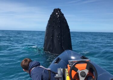 เจ้ามือ Bitcoin ที่รวยที่สุดเป็นอันดับ 3 เพิ่งซื้อ Bitcoin เพิ่มมูลค่ากว่า 924 ล้านบาท ในช่วงขาลง