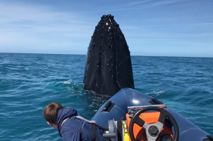 เจ้ามือ Bitcoin ที่รวยที่สุดเป็นอันดับ 3 เพิ่งซื้อ Bitcoin เพิ่มมูลค่ากว่า 924 ล้านบาท ในช่วงขาลง