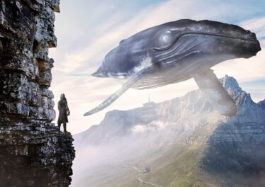 เจ้ามือแห่สะสมเหรียญ Stable Coin เพิ่มกว่า 7% ในเดือนมีนาคม สิ่งนี้หมายความว่าอย่างไร