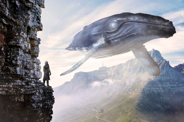 เจ้ามือแห่สะสมเหรียญ Stable Coin เพิ่มกว่า 7% ในเดือนมีนาคม สิ่งนี้หมายความว่าอย่างไร