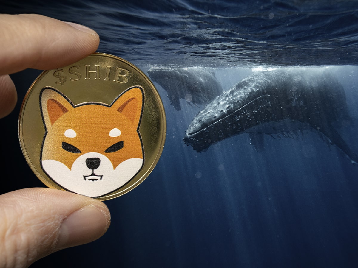 Shiba Inu กลายเหรียญที่เจ้ามือ Ethereum ถือครองมากที่สุด หลังถูกช้อน ...