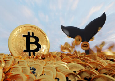 bitcoin-bullish-signal-whale-ratio-sharply-declines
