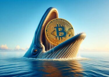 เจ้ามือรายหนึ่งโหมกระหน่ำช้อนซื้อ Bitcoin กว่า 26,200 BTC ที่ราคา $51,000