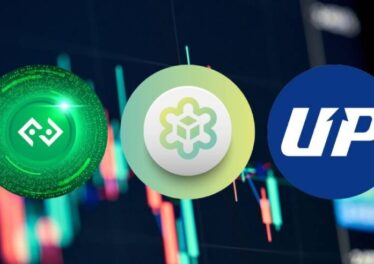 3 แพลตฟอร์มครองใจสายเทรดชาวไทย ! Bitkub-Bitazza-Upbit กวาดวอลุ่มเทรดสูงสุด ม.ค. 67