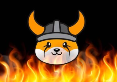 Floki ลุกโชน! ราคาพุ่ง 100% หลังคอมมูฯโหวตไฟเขียวเบิร์นเหรียญ 2% ของอุปทานทั้งหมด